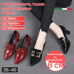 【най-продавани】Модни обувки на висок ток с остри връхчета, мека подметка